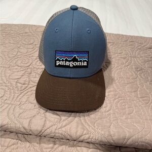 Patagonia Blue and Brown Trucker Hat